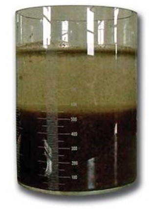 Pi Trübung Becher